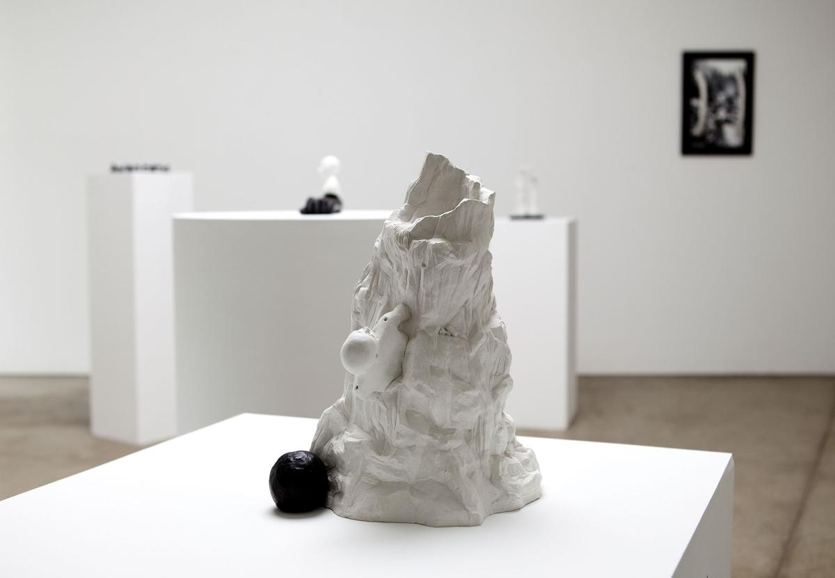 The Albatross and a Mountain Man